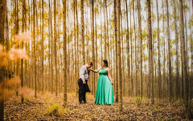 Forest Nuptials